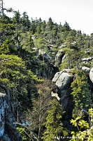 N30 0045