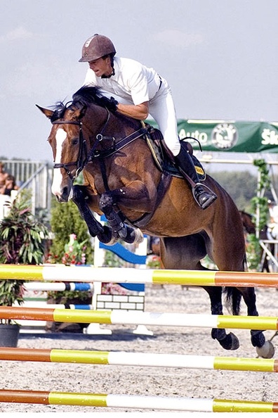 0009-009.jpg