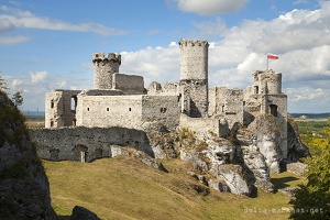 Jura Krakowsko - Częstochowska