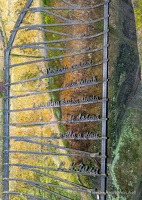 Skalní Město Adršpach