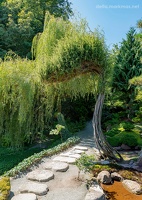 Japoński ogród
