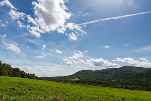 Tarnica