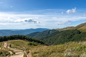 Tarnica