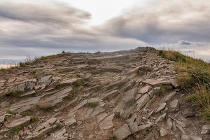 Tarnica