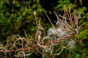 Bieszczady 0211